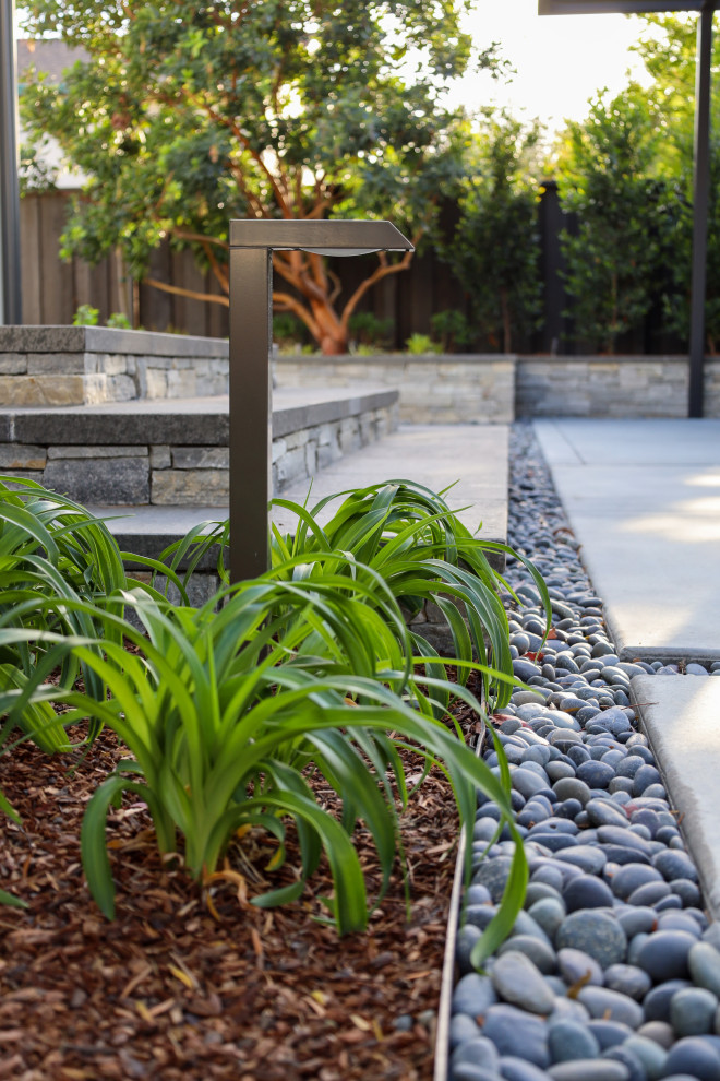 Design ideas for a modern backyard patio in San Francisco with concrete pavers.