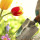 A's Maintenance & Landscaping LLC