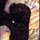 webuser_862211