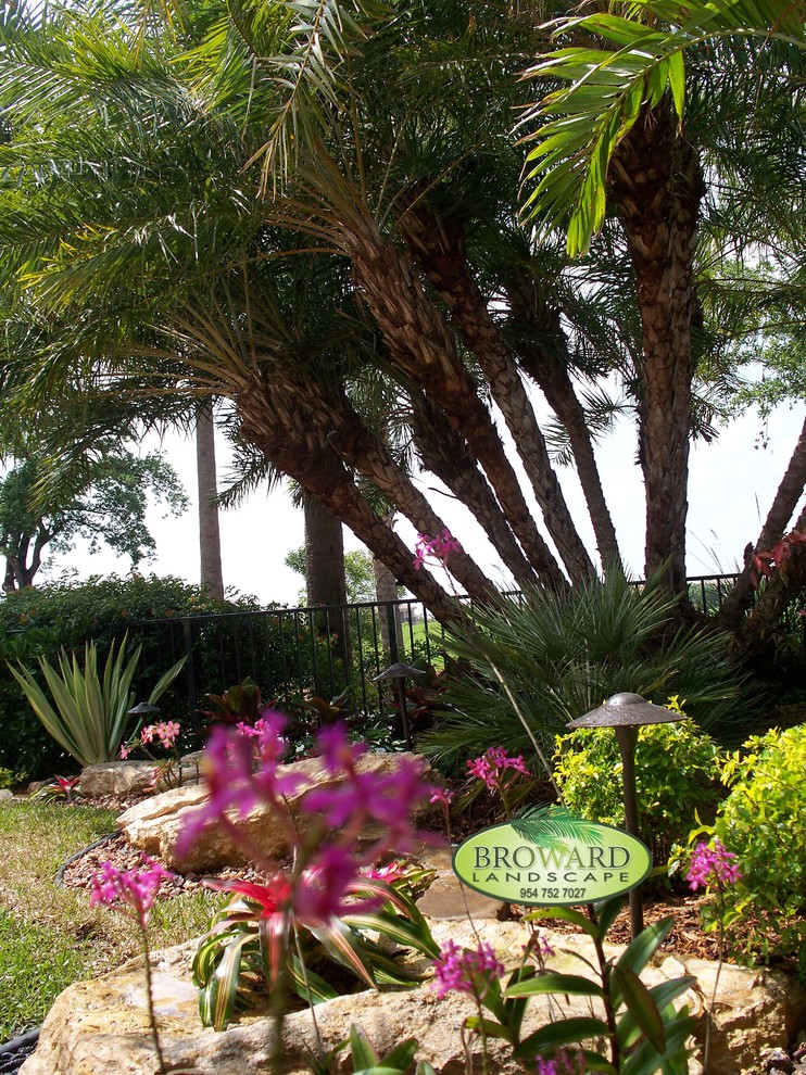 Mid-sized tropical backyard full sun garden in Miami.