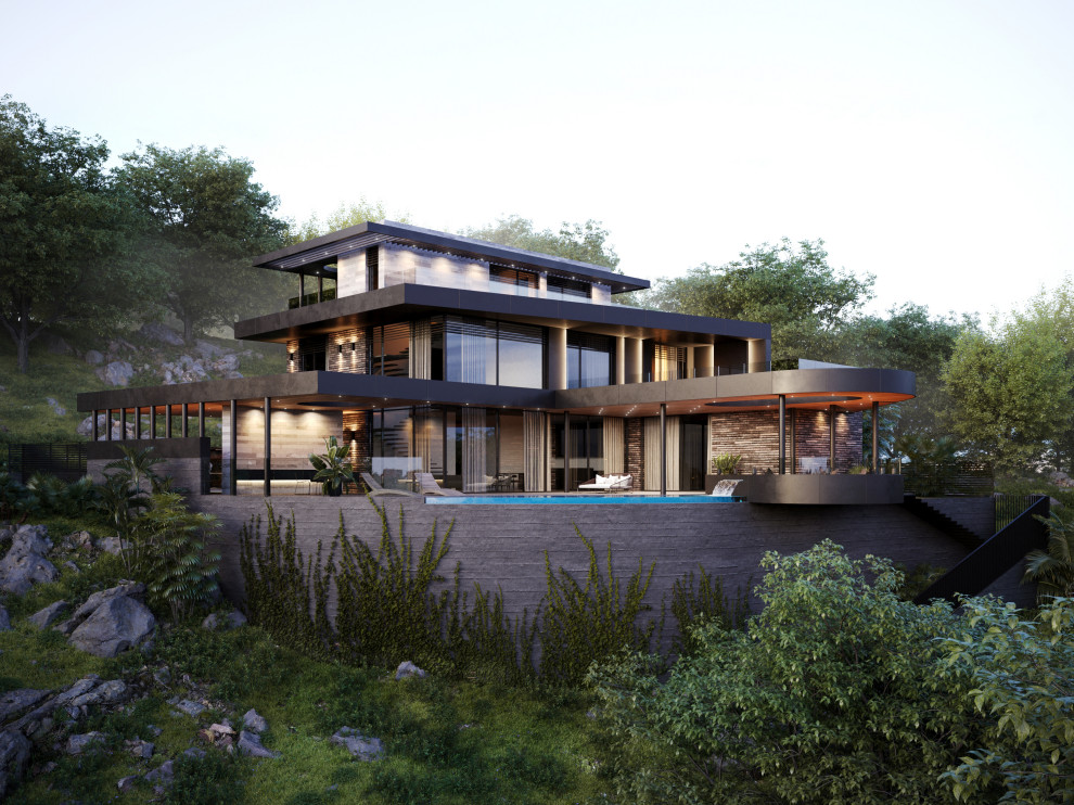 Темная Акация