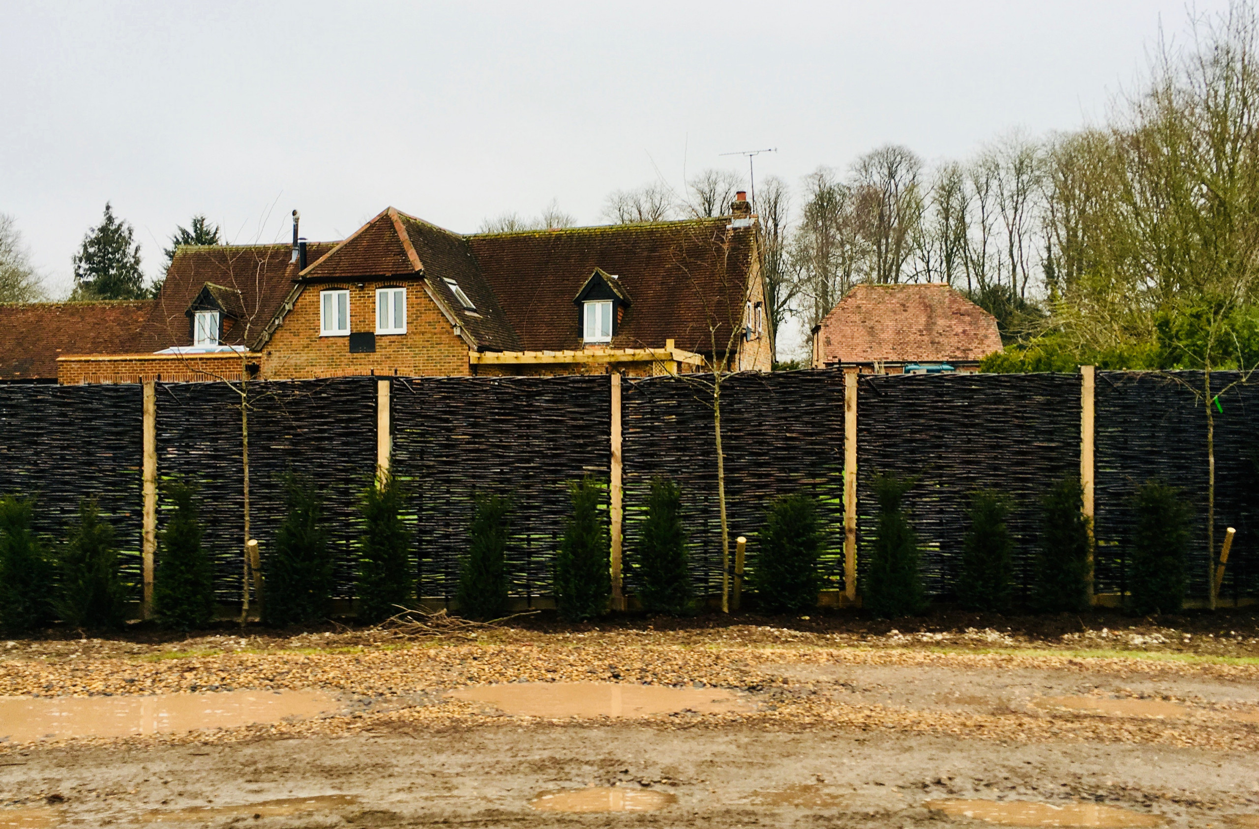 Garden Screening Ideas