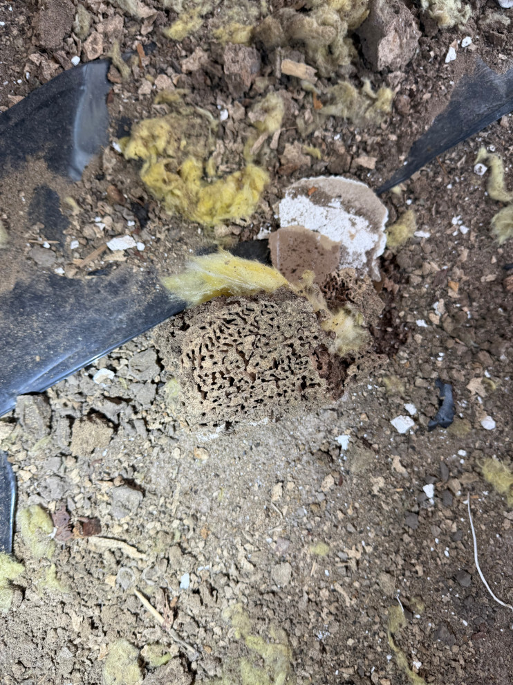 CD14319 - Home Restoration project & Renovation