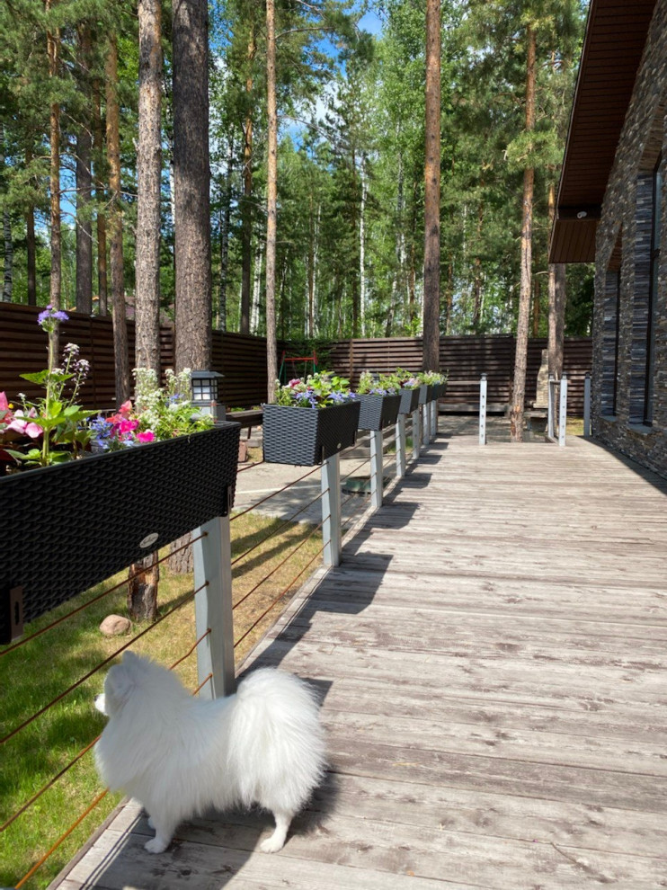 Уютная терраса и гостинная с растениями