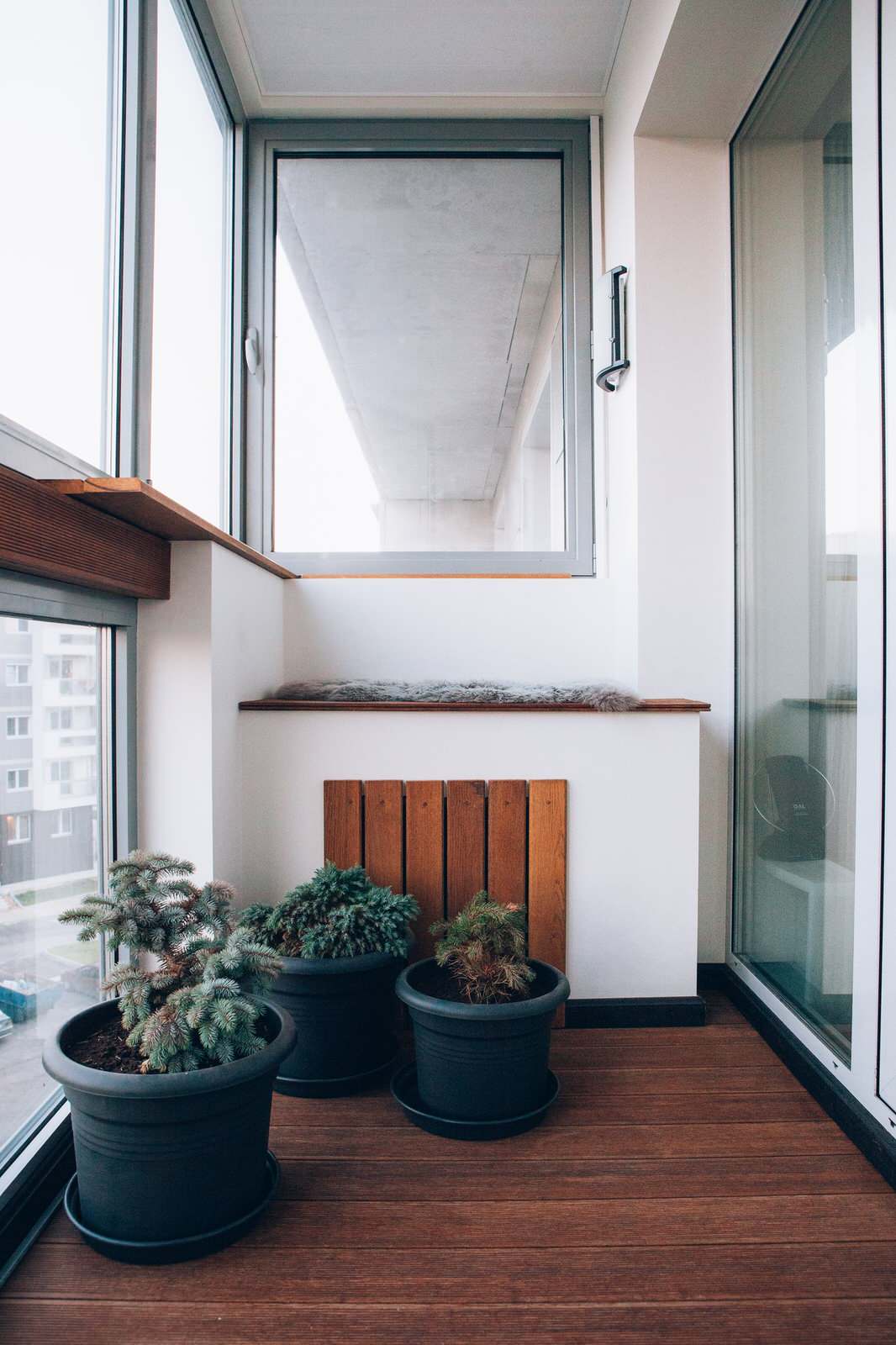 Льняное утро