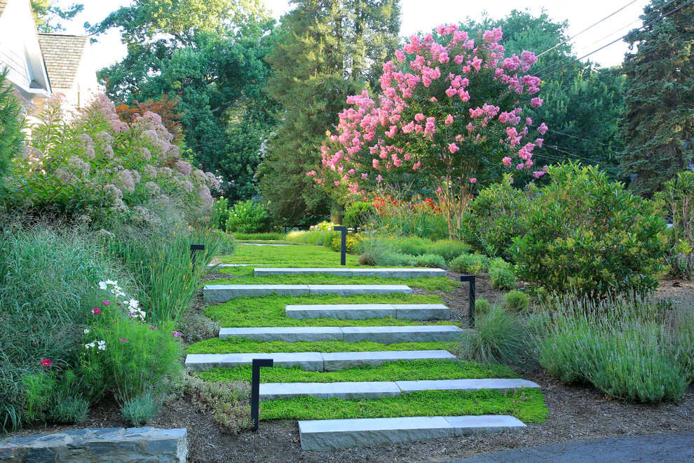Photo of a traditional front yard full sun formal garden in DC Metro with a garden path.