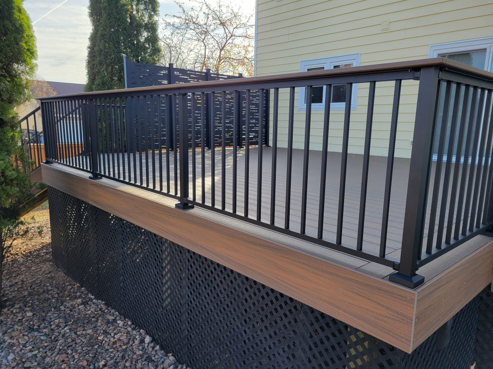 Foto de terraza planta baja de tamaño medio sin cubierta en patio trasero con privacidad y barandilla de metal