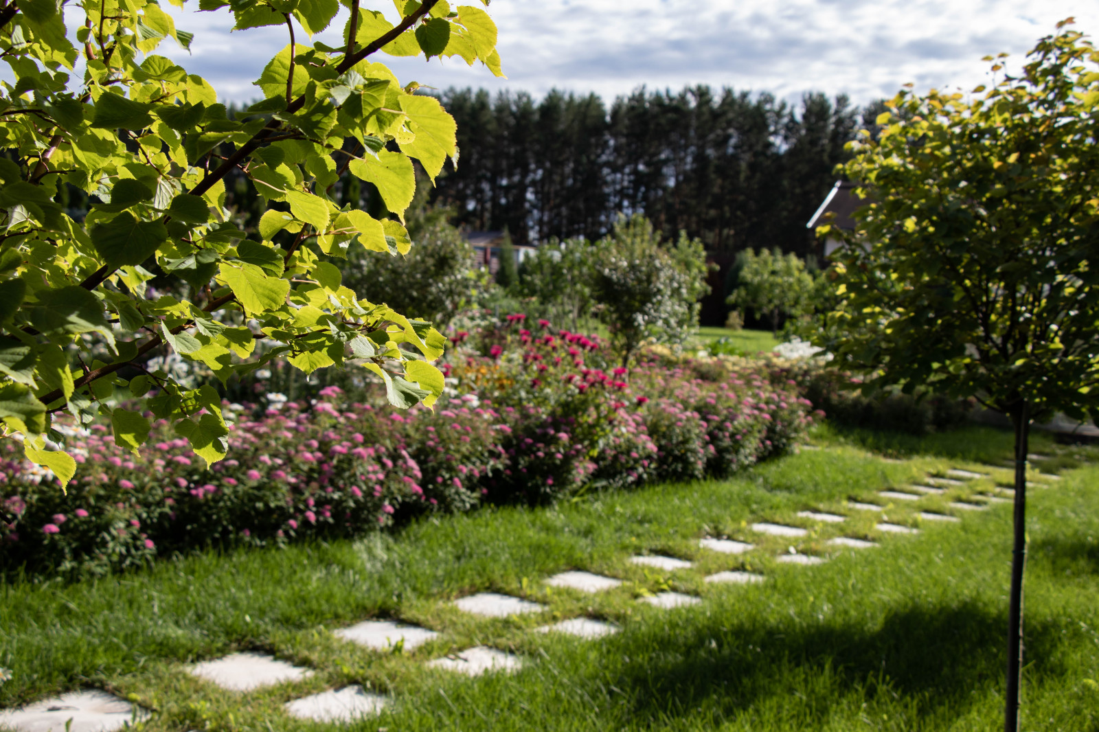 Сосновые берега