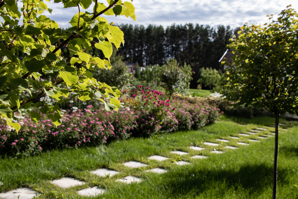 Сосновые берега