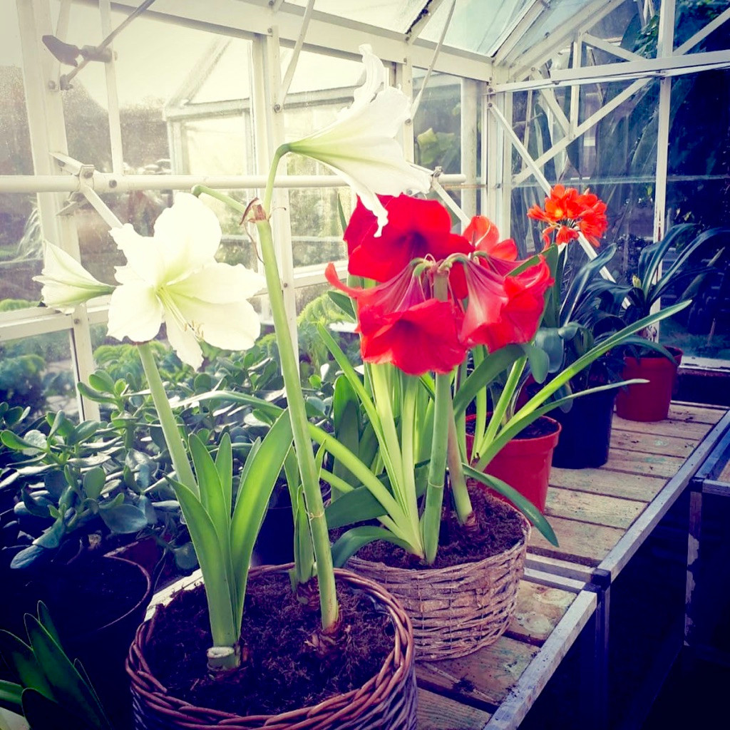 Grand Stately Garden