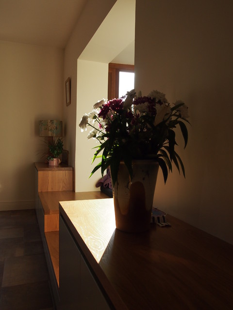 Bay Window modern-fasad