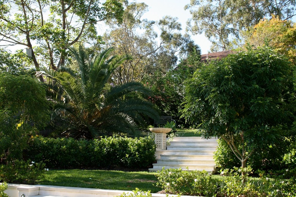 Photo of a contemporary garden in Sydney.