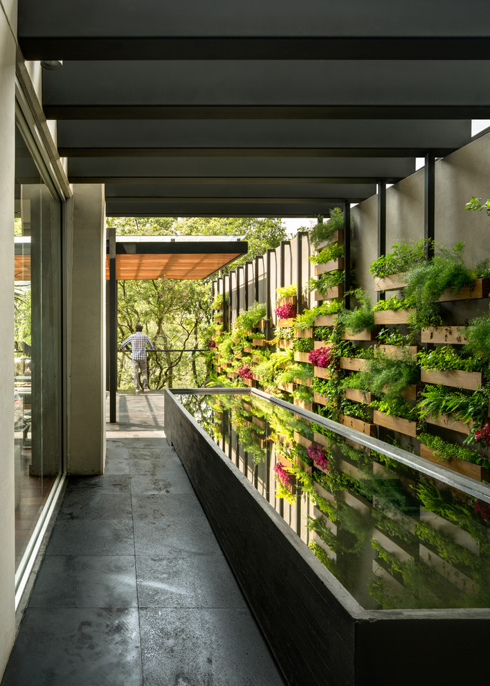 This is an example of a contemporary shaded garden in Mexico City with a vertical garden.