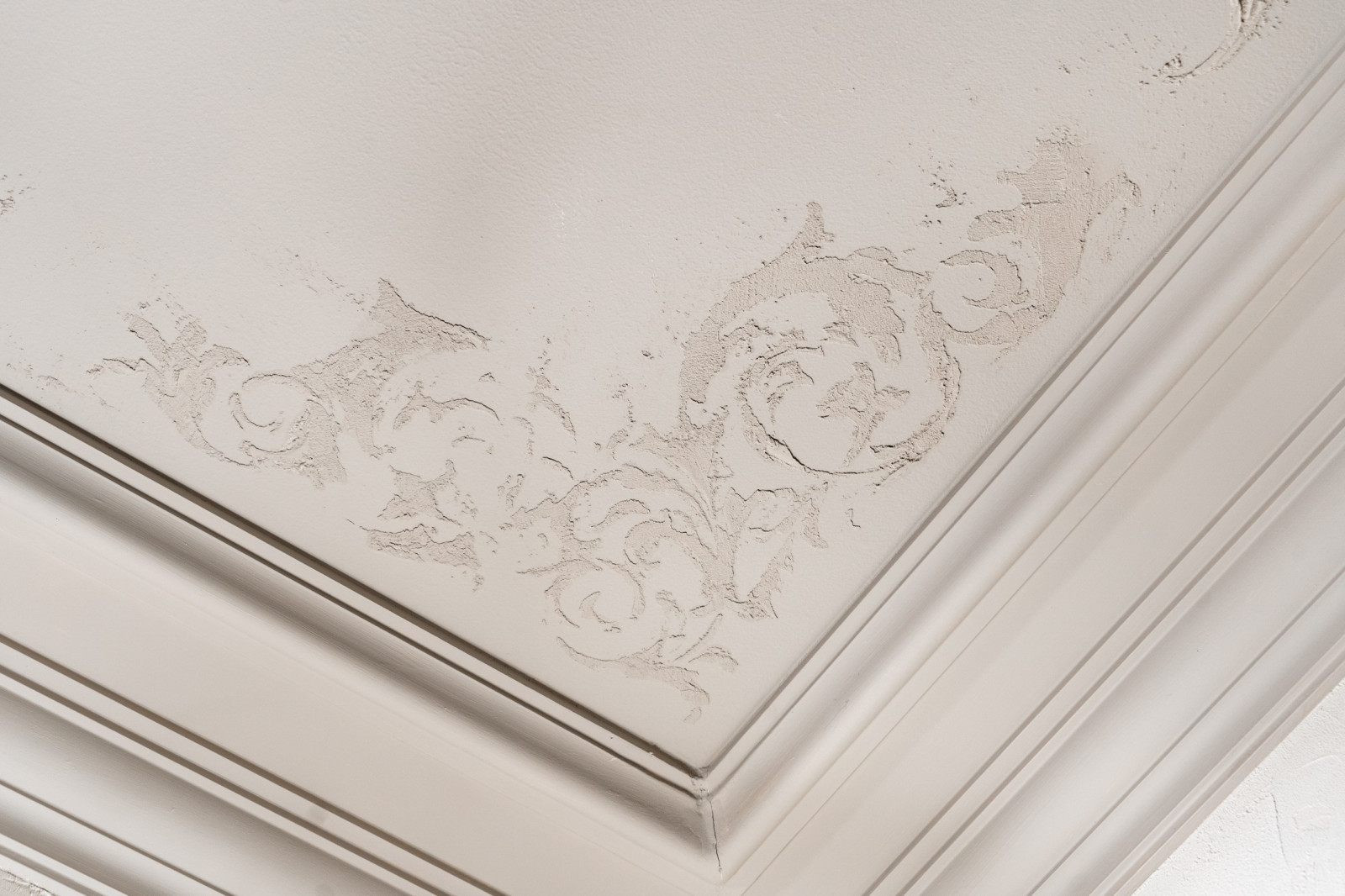 Боровая. Квартира режиссера.