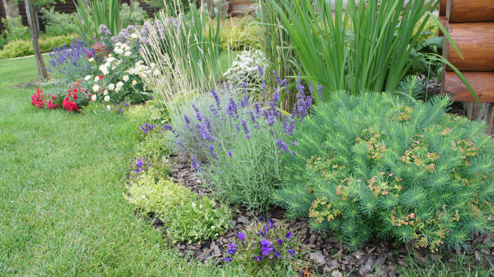 Прохорово лето 2017