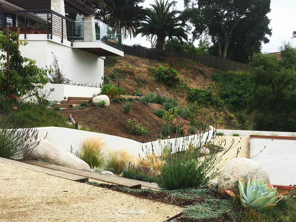 Großer Moderner Garten hinter dem Haus mit direkter Sonneneinstrahlung in San Diego