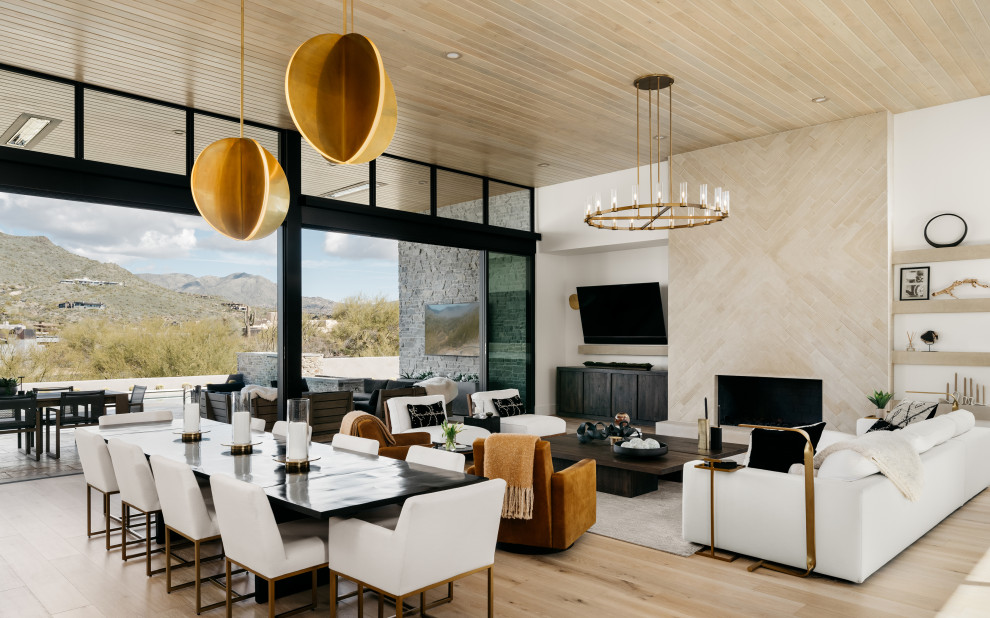 Gambel Quail 103 - Contemporary - Living Room - Phoenix - by Illini ...