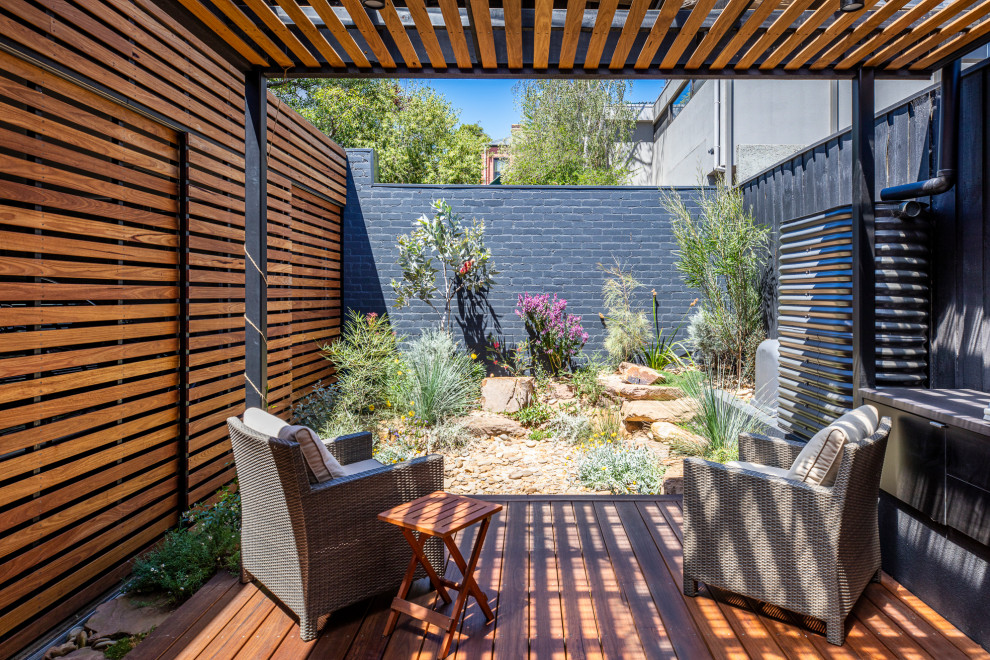 Esempio di un piccolo giardino american style esposto a mezz'ombra in cortile in estate con ghiaia