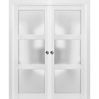French Double Pocket Doors Frosted Glass 3 Lites Lucia 