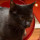 heather_mcfarlane23