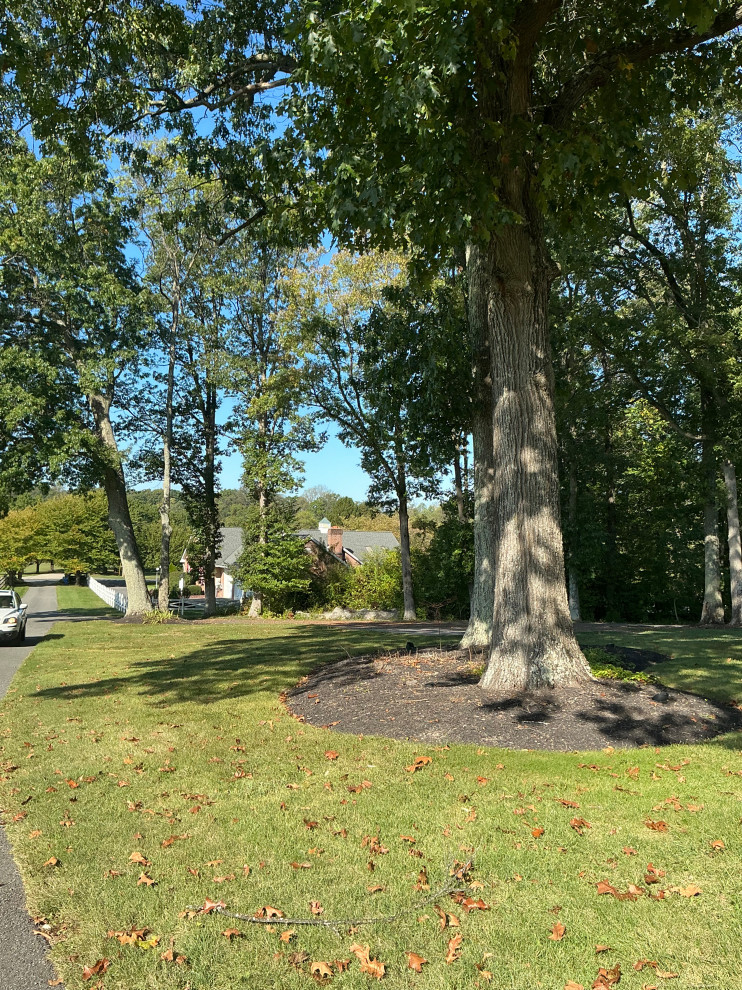 Impactful, serene and native entrance.