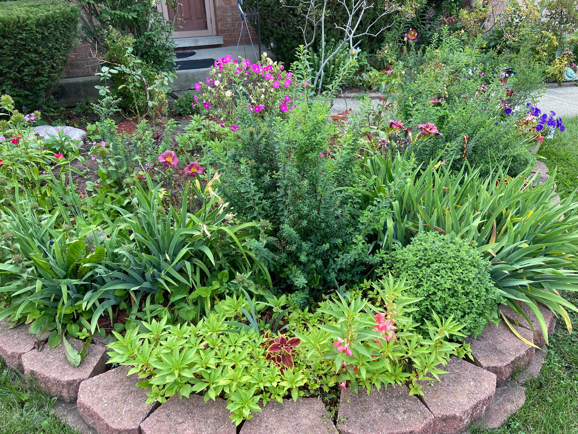 Front yard facelift