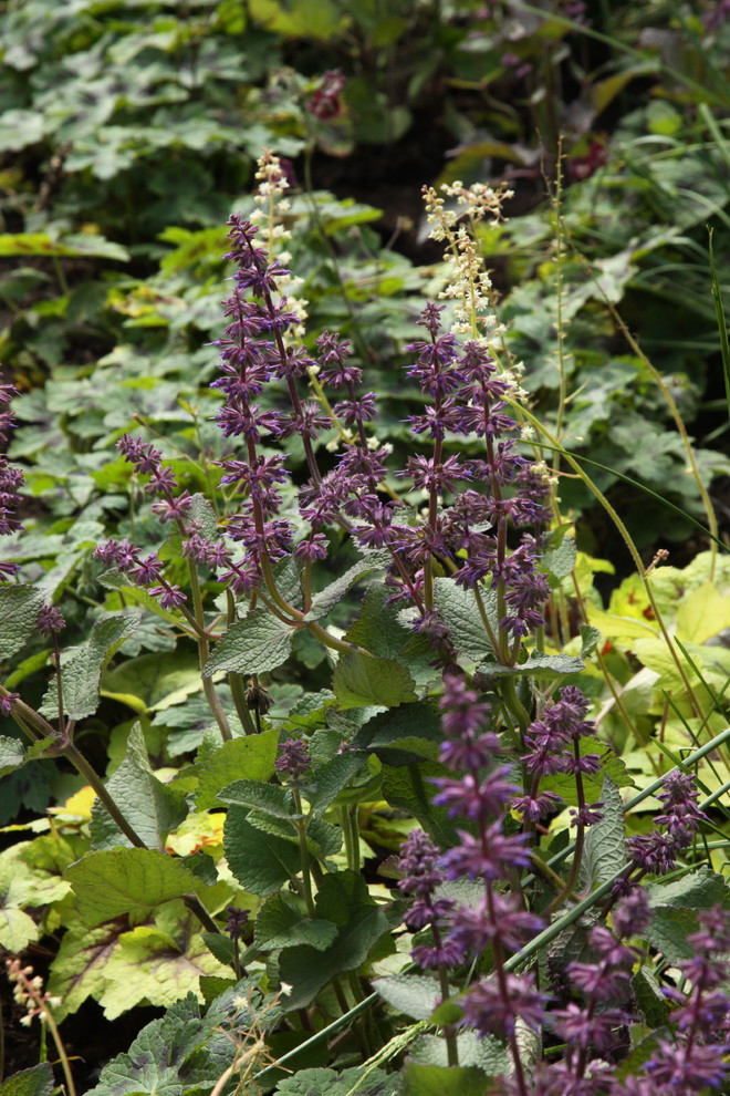 Выставочный сад "Азбука сада"