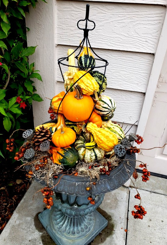 Fall Container Garden - Landscape - Minneapolis - by ...