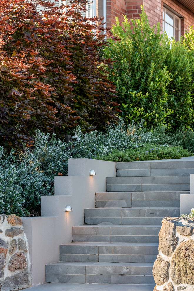 Contemporary garden in Melbourne.