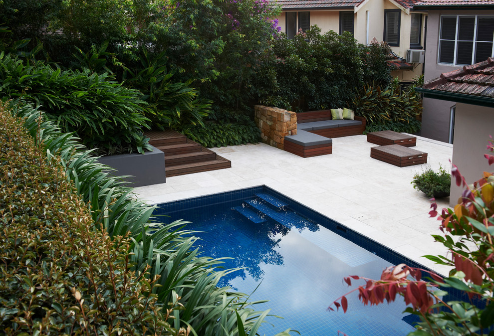 Photo of a transitional garden in Sydney.