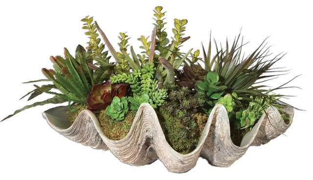 Uttermost Sea Coast Succulents