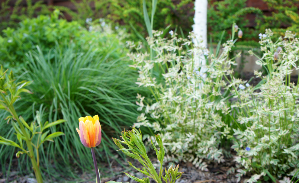 участок в Прохорово