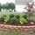 A&N Landscaping
