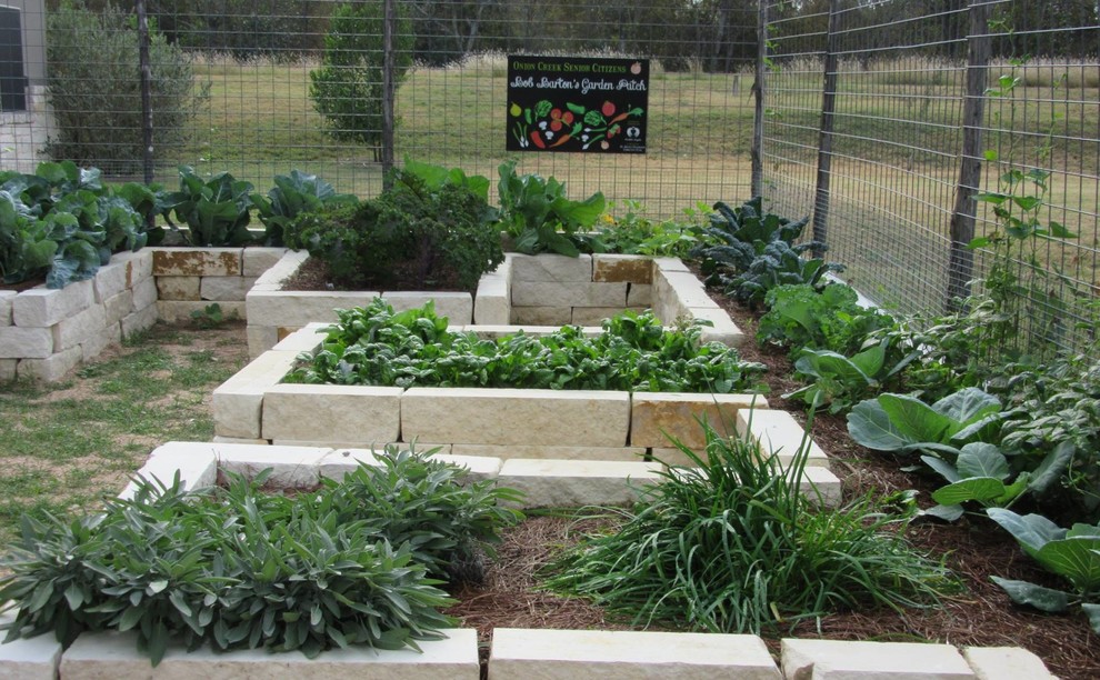 Photo of a mid-sized transitional full sun backyard mulch vegetable garden landscape in Austin.