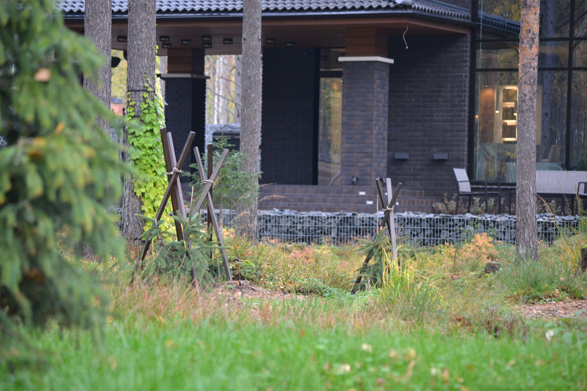 Райт и Ленинградский лес