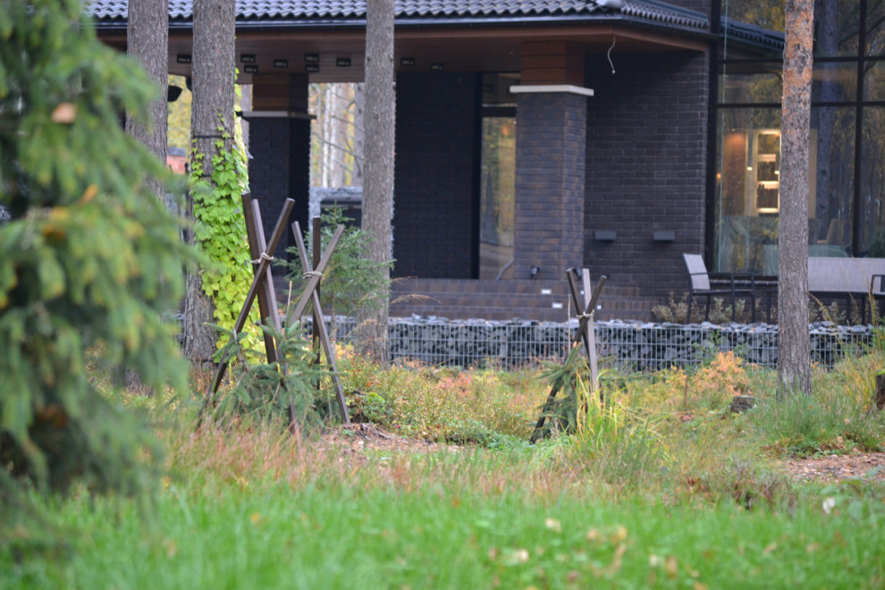 Райт и Ленинградский лес