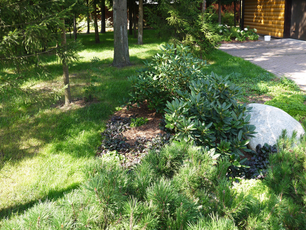 Белоостров