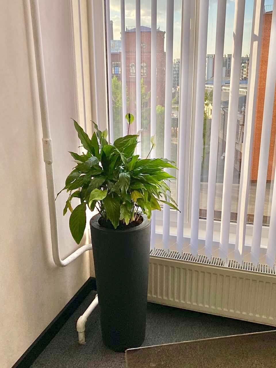 Офис Файн Юнион г. Санкт-Петербург