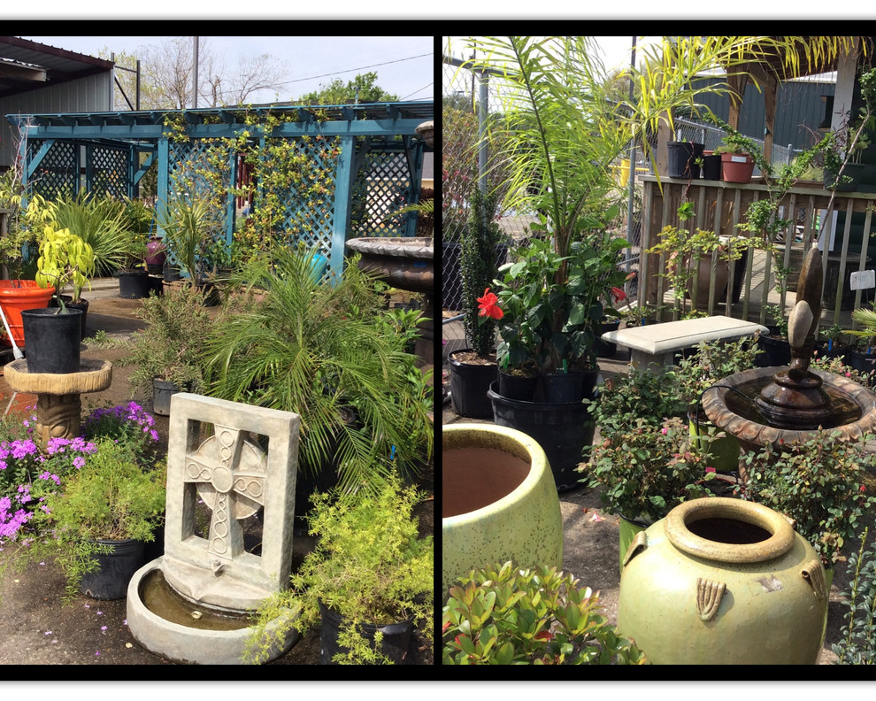 Texas Best Nursery Revitalization