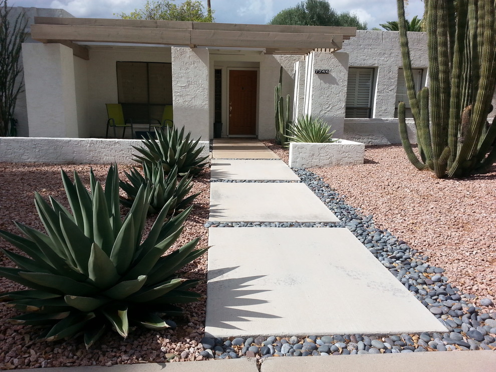 Photo of a midcentury garden in Phoenix.