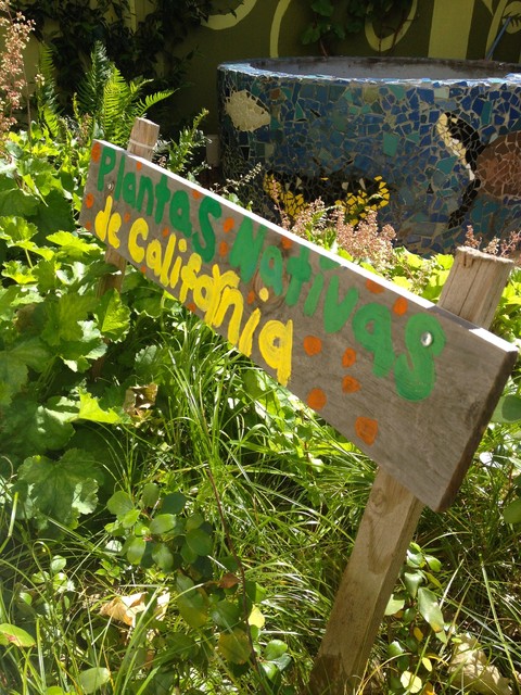 New Projects garten