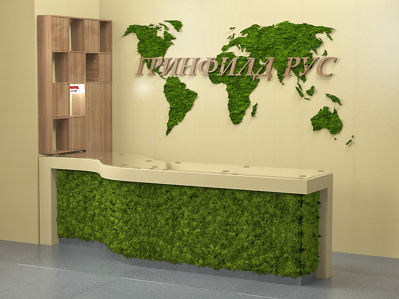 Мох в интерьере