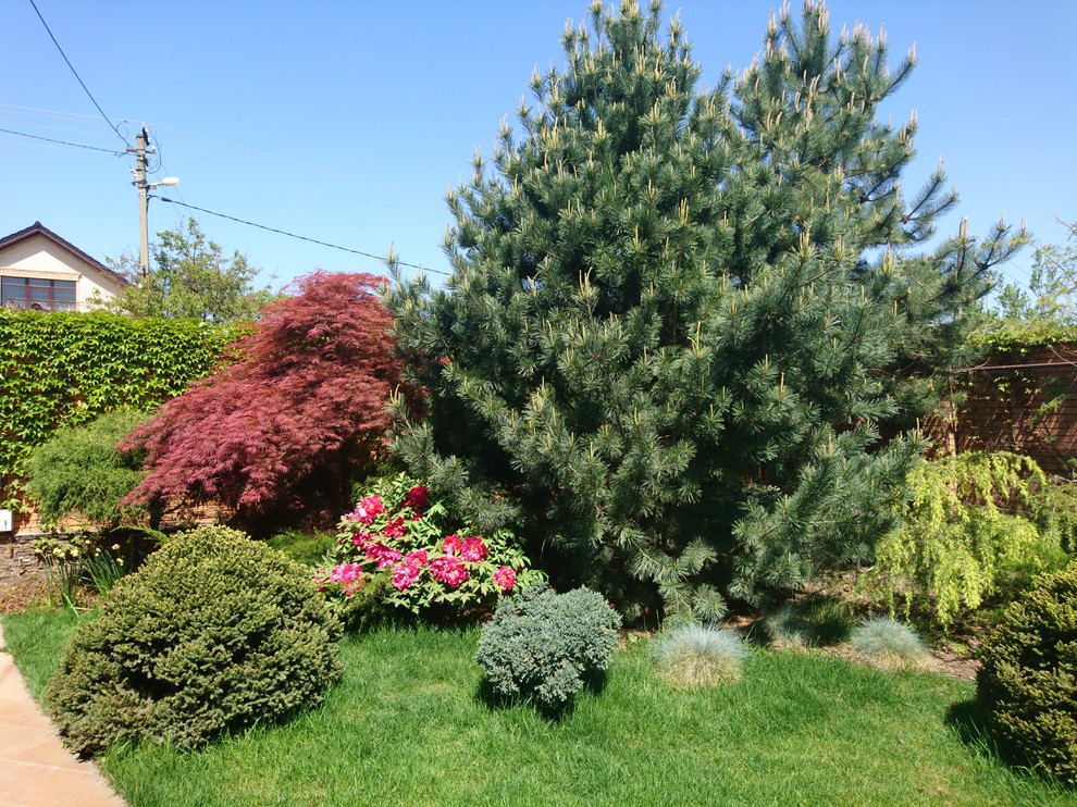 Черноморская