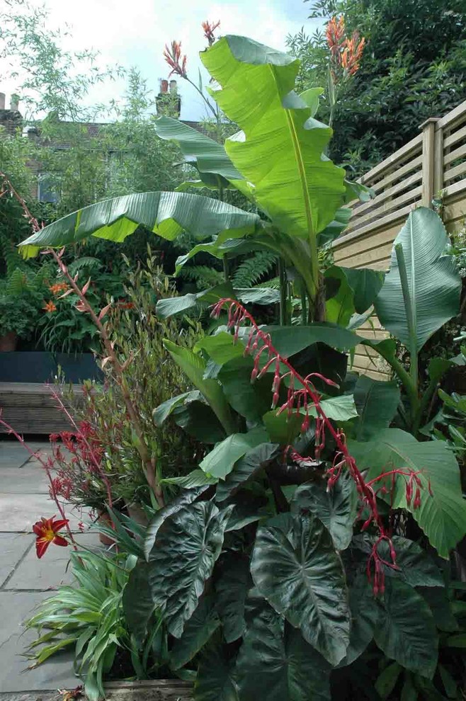 Design ideas for a tropical home design in London.