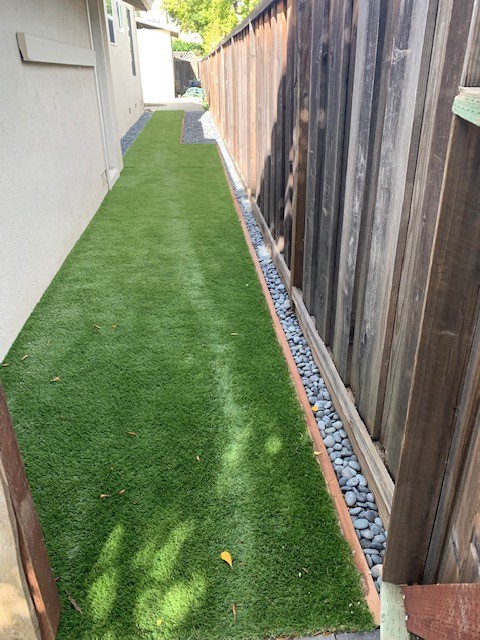 Parker Front Yard