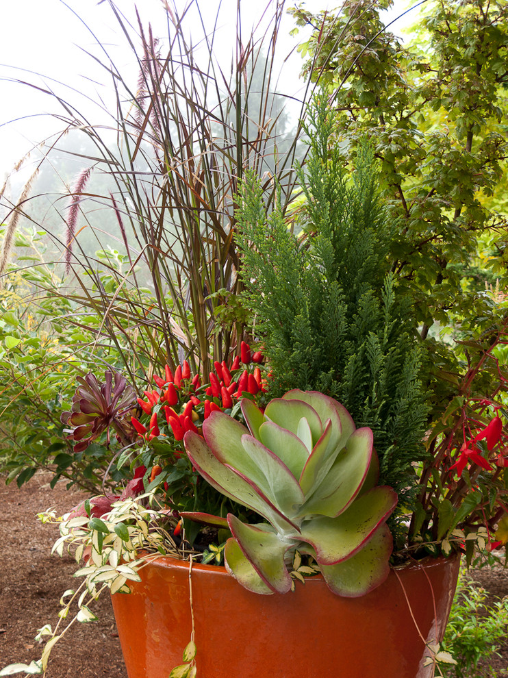 Design ideas for a traditional landscaping in Seattle.