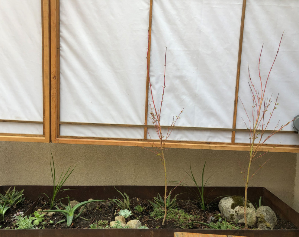 Idee per un piccolo giardino bohémian esposto a mezz'ombra davanti casa con un giardino in vaso e recinzione in metallo