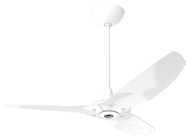 Big Ass Fans Haiku Indoor Ceiling Fan Contemporary Ceiling