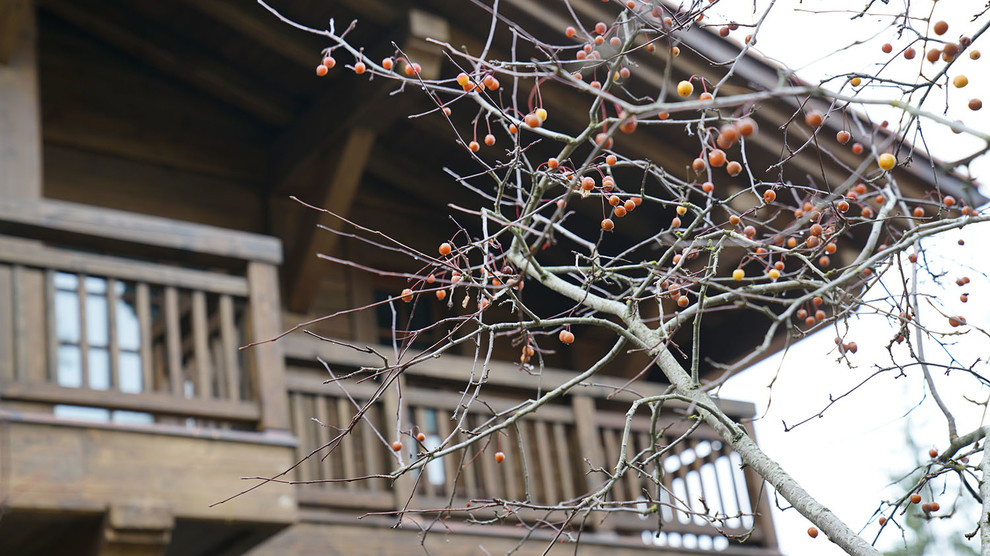 Мечта об Альпах. КП Вымпел