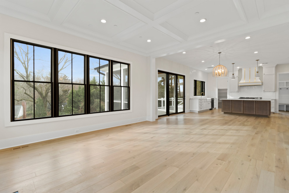 Modern Farmhouse Rochester IV
